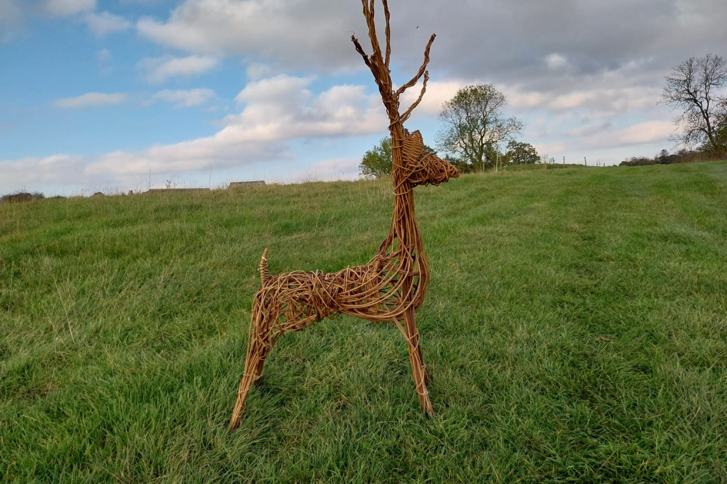 A life-sized sculpture of a deer, constructed from thick, interwoven willow, stands in a green field. The deer is facing right, with visible antlers and detailed leg structure. Trees and a partly cloudy sky are visible in the background. The sculpture has a rustic, handcrafted look.