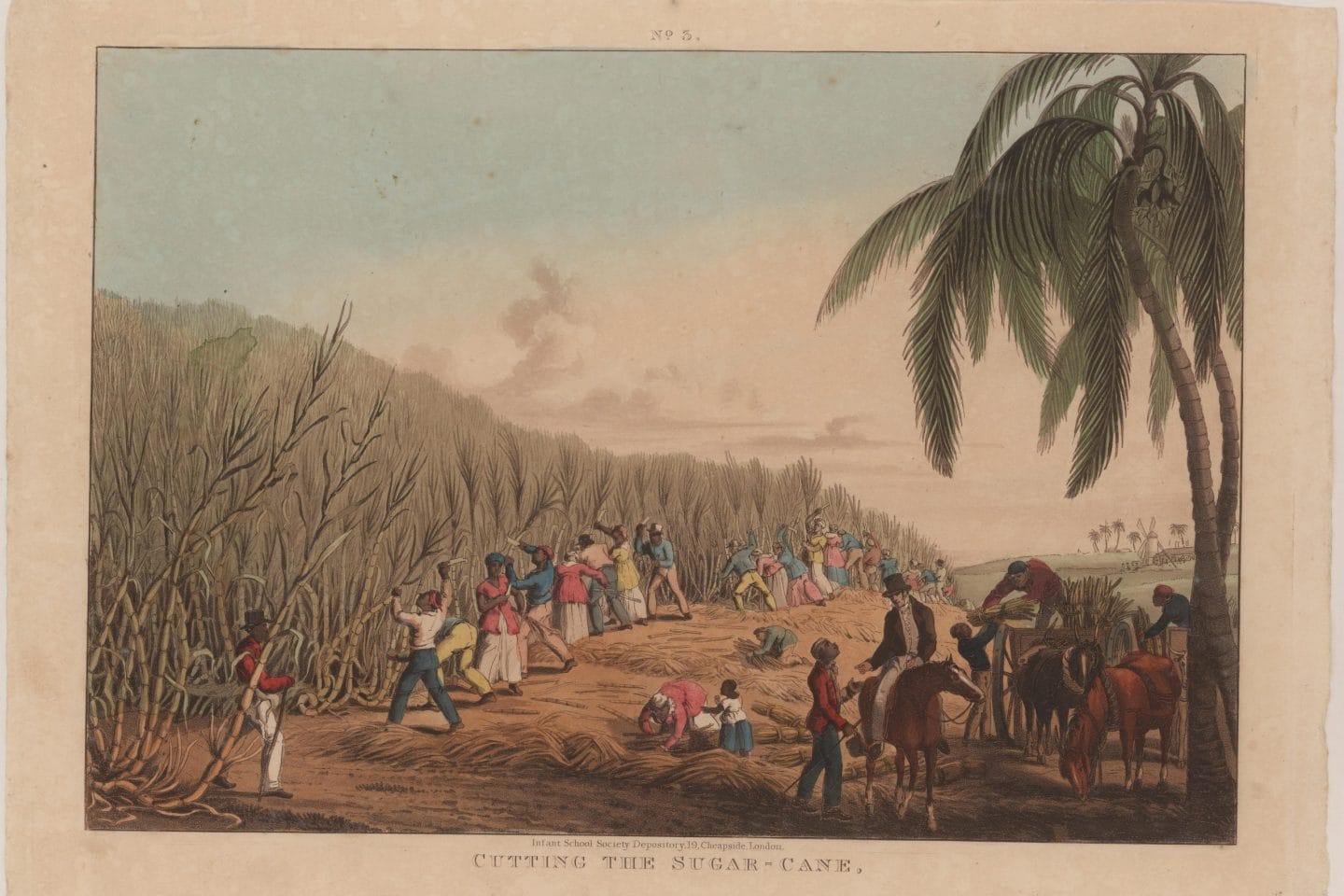 A historical illustration of enslaved people cutting sugar cane