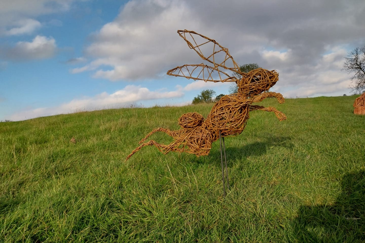 A sculpture of a Hare made of weaved willow in a field. The Hare looks like it is leaping. The grass is green and the sky is blue with some fluffy white clouds.