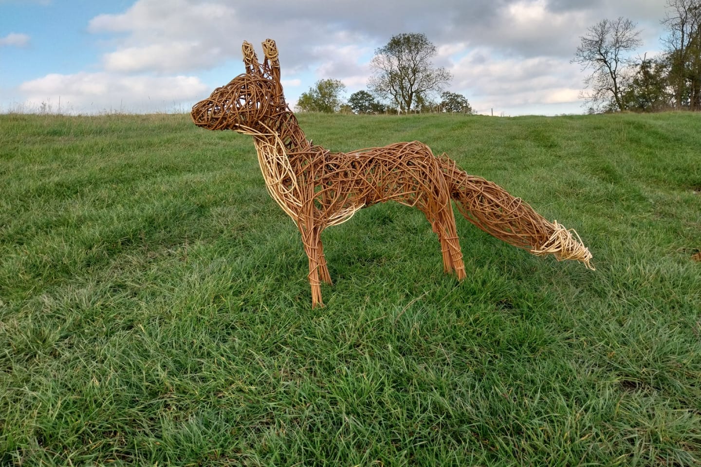 A light brown, life-size sculpture of a fox, crafted from woven willow branches, stands on a slightly sloping green grassy field. The fox faces left, with its tail extended behind it, and its ears perked up. Several trees are visible in the background beneath a partly cloudy sky with patches of blue.